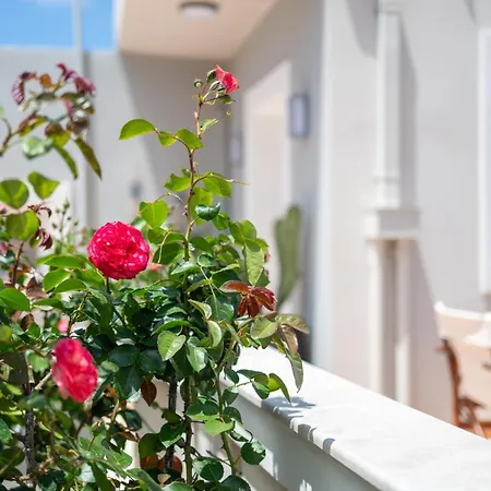 펜션 Casa Maestrale