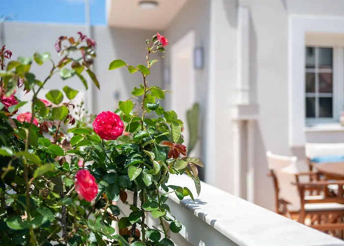 Tatil Evi Casa Maestrale